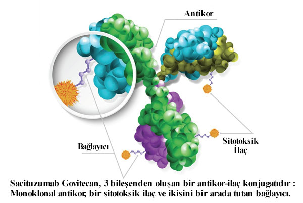 Sacituzumab Govitecan İleri Evre Hormon Pozitif Meme Kanserinde FDA onayı aldı